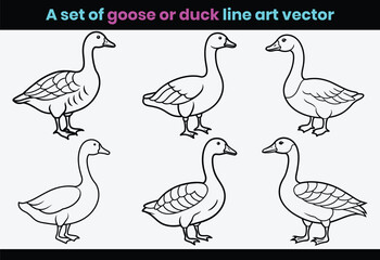 Set of duck animal and set of goose line art, or a set of bird animals line art vector.