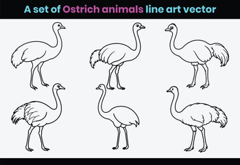 A set of ostrich animals, or set of flamingo birds line art vector.