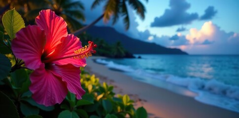 Colorful hibiscus flowers blooming on Maui beach at night with ocean view,  blue,  flowers
