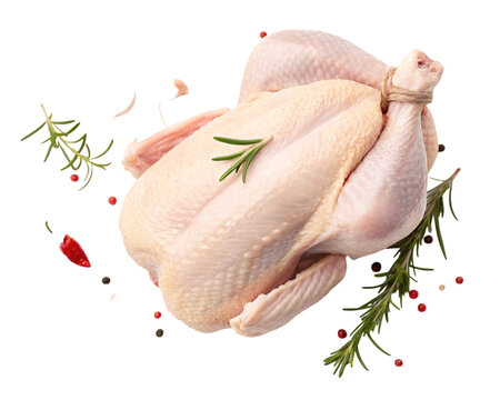 raw chicken breast on transparent background 