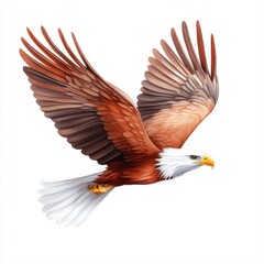 Obraz premium Majestic Eagle in Flight with Graceful Wings and Striking Feathers, Capturing Freedom and Power in Nature