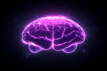 Illuminated Brain Anatomy