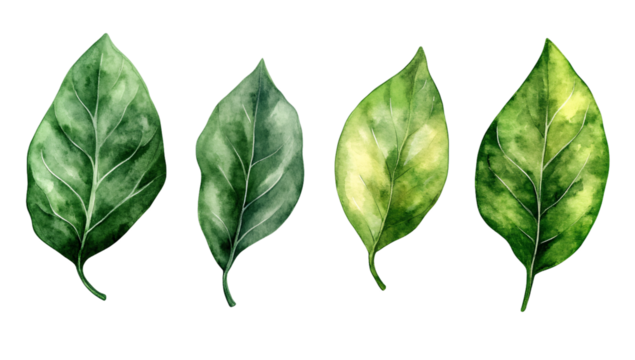 green leaves flying around the wavy shape, transparent background, PNG