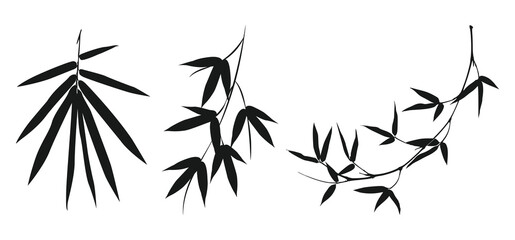 silhouette bamboo leaves