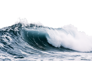 large wave in the ocean, isolated on a transparent background