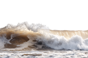large wave in the ocean, isolated on a transparent background
