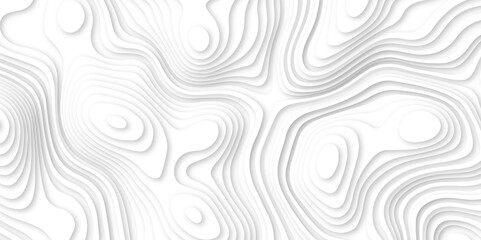 Abstract wavy line 3d paper cut white background. white and gray luxury grid topography map and satin smooth wallpaper matt paper light texture. White waves decorative papercut design.