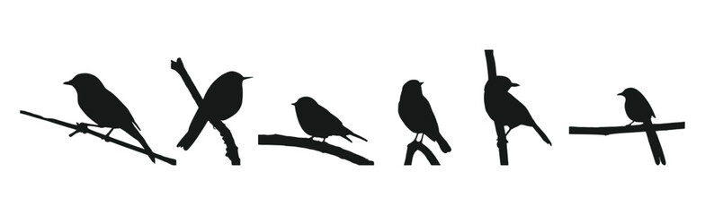 silhouette of a bird perched on a branch
