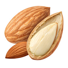 Almond image in PNG format