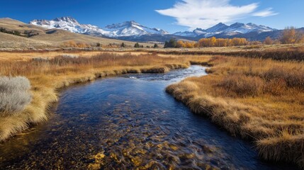 A landscape image of a mountain meadow in the Rocky Mountains, featuring a clear, shallow stream flowing through a field of dried grasses and low shrubs
