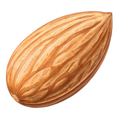 Almond image in PNG format