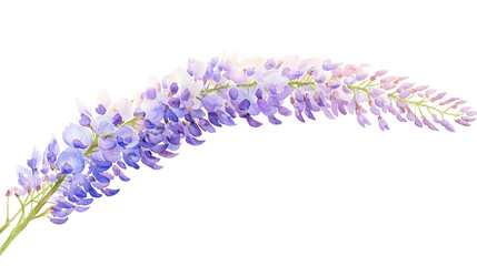 Obraz premium A purple flower with a long stem