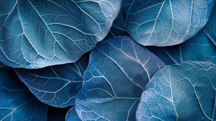 Obraz premium Textured Blue Leaves Abstract, nature , foliage