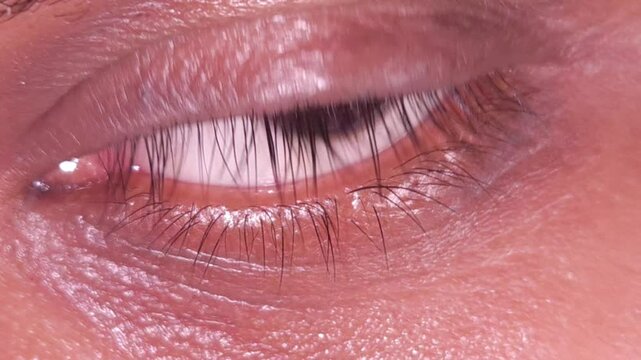 Close-up Macro Beautiful Female Human Eye : Pupil Cornea Iris Eyeball Eyelashes. Blink Open Closed
