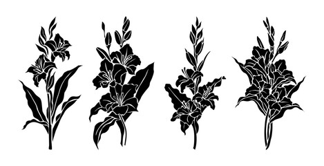 Set of black silhouettes of decorative fresh blossoming gladiolus flowers. Hand drawn outline August birth month flower icon. Vector monochrome illustrations isolated