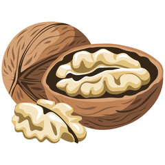 Walnut icon on white