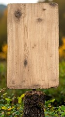 Empty Wooden Sign in Nature