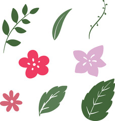 vector illustration of set of floral elements
