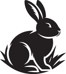 black and white rabbit
