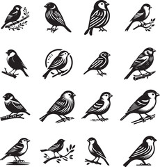 set of birds on white background