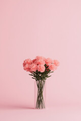 Pink carnations resting in a glass vase on a pink backdrop