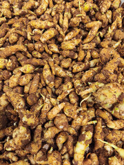 Close-up pile of kencur. Kencur is a spice plant as well as a medicinal plant whose benefits come from its roots to be consumed as a drink or herbal medicine