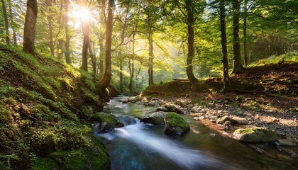 Obraz premium waterfall in the forest