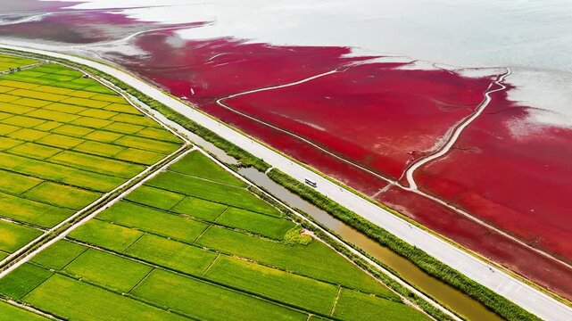 4k Video Panjin Red Beach Showcasing Vibrant Red Green and White Landscapes