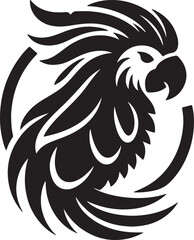 black and white parrot