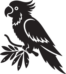 black and white parrot
