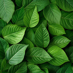 A dense arrangement of vibrant green leaves creating a natural and lush background texture design element