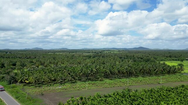 Drone shot of a agriculture farm