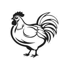 rooster vector illustration