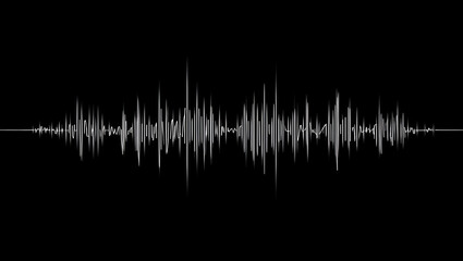 Professional Audio Waveform Visualization in White for Sound Engineering