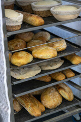Freshly baked bread on display in a local bakery on a sunny morning