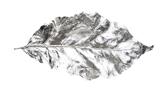 Silver leaf png