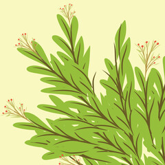 Obraz premium a grup of flower plant