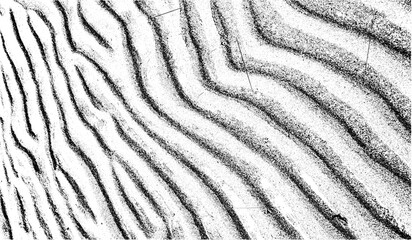 zebra skin texture