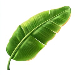 Fototapeta premium Vibrant Tropical Banana Leaf