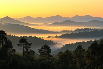 Obraz premium Beautiful sunrise over misty mountains and lush green forests in a serene landscape