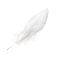 Single White Feather on Black Background Elegant, Delicate Design Element