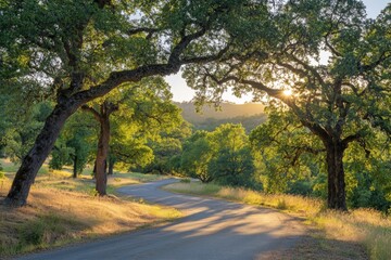 Fototapeta premium Scenic winding road through lush green trees during golden hour in a tranquil countryside setting