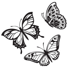 Butterfly vector silhouette