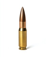 Single cartridge ammunition