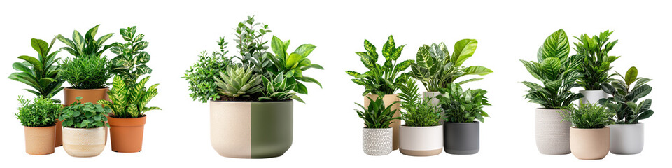 Variety of healthy thriving houseplants and herbs arranged in different pots and containers for indoor and natural ambiance