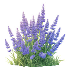 Naklejka premium Vibrant lavender flowers blooming in nature digital art serene environment