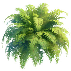 Fototapeta premium Lush green fern plant close-up nature scene botanical photography outdoor