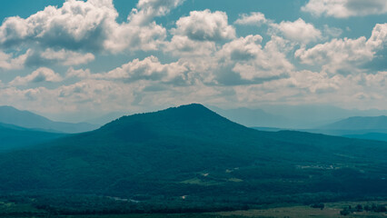 alpine meadows with green trees in the mist
