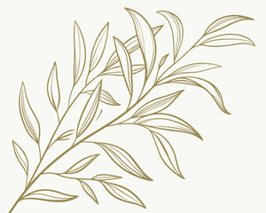 Elegant leaf branch line art illustration with delicate vein details on light background.