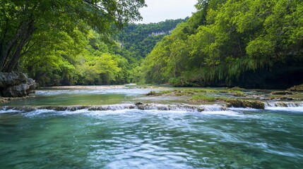 Serene Turquoise River in Lush Green Forest Landscape